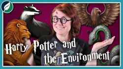 Which Harry Potter House Is The Most Environmentally Friendly? Instructional Video