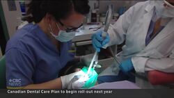National dental plan to help prevent millions from needing urgent care, doctors say News Clip