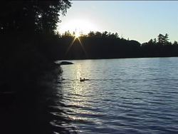 Things in Motion: Things on the Move Instructional Video