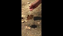 A pen that was built from nature - Magnetized elements Instructional Video