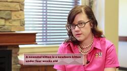 Kittens Bring Depth, Meaning and Joy Into the Lives of Seniors Instructional Video