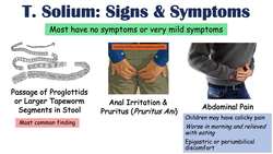 Pork Tapeworm (Taeniasis) | How It Infects, Symptoms & Cysticercosis, Diagnosis, Treatment Instructional Video
