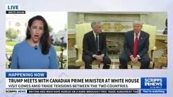 Trump says US to halt airstrikes on the Houthis after group 'capitulated' News Clip