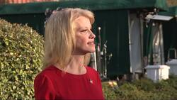 Conway calls for House intel chairman to resign Instructional Video