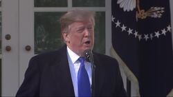 Trump plans to spend $8B on border barriers Instructional Video