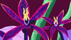 TED-Ed: The sexual deception of orchids - Anne Gaskett Instructional Video