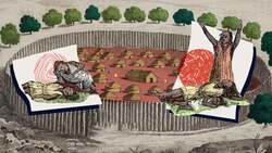 Expansion and Settlement of the United States Instructional Video