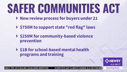 Senators Reach Bipartisan Compromise On Gun Violence Bill News Clip