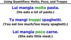 Use of the Words: Molto, Poco, and Troppo Instructional Video