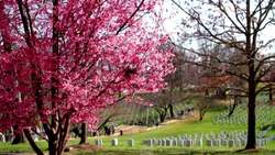 Letting go is not giving up Instructional Video