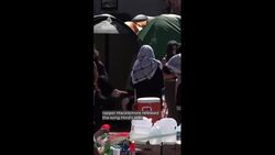 Which artists are speaking up about Palestine? News Clip