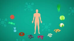 I WONDER - Is Eating Too Many Carbohydrates Bad?
 Me Pregunto - Es Malo Comer Demasiados Carbohidratos? Instructional Video