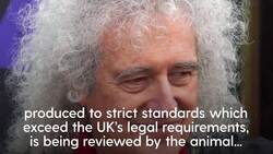 Brian May Resigns From Rspca Over ‘Appalling’ Animal Welfare Standards On Farms Original Video M259578 Instructional Video