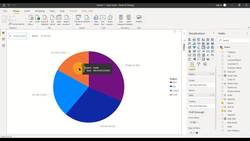Business Intelligence with Microsoft Power BI - with Material - Creating a Pie Chart in Power BI Instructional Video