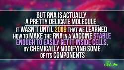 How to Stop Cancer Using RNA Instructional Video