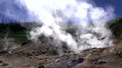 The Effects of Disturbances on Ecosystems Instructional Video