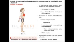 Concave/Convex Rules | How to Mobilize a Joint [Part 1] Instructional Video