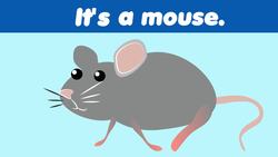 What Is It?: Animals Instructional Video