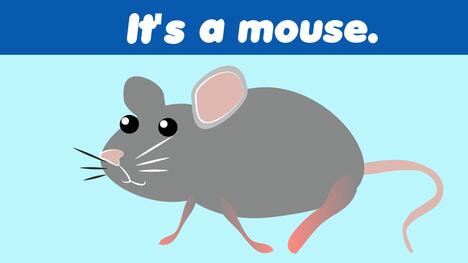 What Is It?: Animals