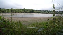 Households hit by hosepipe bans as England faces drought threat News Clip