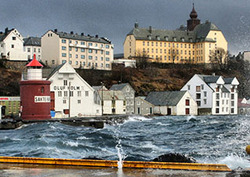 Factores abióticos en los ecosistemas Instructional Video