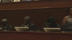 CLEAN : LONG PROFILE: Salva Kiir, South Sudan's president News Clip