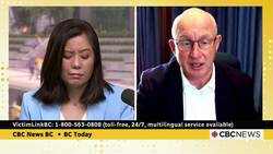 Advocates say intimate partner violence is a public health crisis in B.C. News Clip