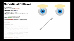 Corneal Reflex | Procedure & Results Interpretation Instructional Video