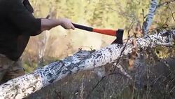 Detail of lumber jack chopping firewood with an axe for winter time. Close up of woodcutter splits wood, rural scene. Preparation logs for cold wintertime in high definition Stock Footage