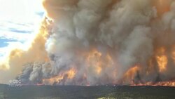 Yukon's mid-June fire conditions show sharp contrast to 2024 News Clip