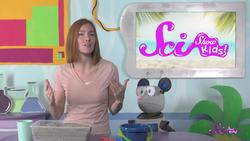 4 Steps to the Perfect Sandcastle! Instructional Video