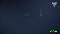 It's Slime Time! | Compilation Instructional Video