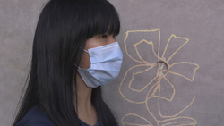 The Impact of Hong Kong's Umbrella Movement Instructional Video