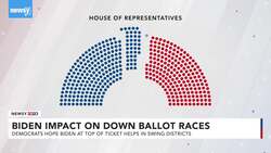 Will A Moderate Biden Help Out Candidates Down Ballot? News Clip