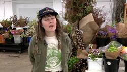 Shop locally from over 25 farms at The Connecticut Flower Collective News Clip