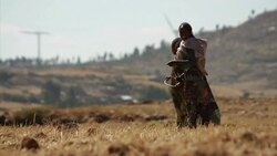 VOICED : Ethiopia spearheads green News Clip