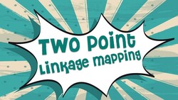 Two Point Mapping Instructional Video