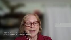 Concerns grow over invasive species after tropical Atlas moth spotted in U.S. News Clip