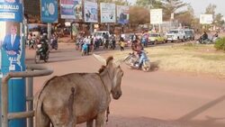 CLEAN : Mali citizens react to drawdown of French force News Clip