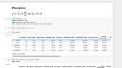 Deep Learning - Crash Course 2023 - Perceptron in Python Instructional Video