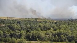 CLEAN : Fire in Hérault: flames cover over 500 hectares of vegetation News Clip