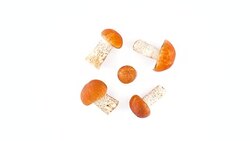 Top view from above of five red cap forest bolete mushrooms. Slowly rotating on the turntable isolated on the white background. Close-up. Macro. Stock Footage