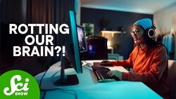 Video Games Are Good For Your Brain Instructional Video