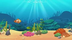 Clownfish in underwater world Stock Footage