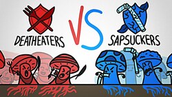 Mushroom Wars Instructional Video