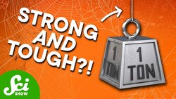 We Finally Made Synthetic Spider Silk Instructional Video