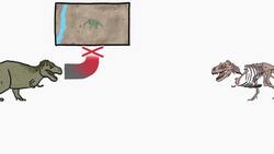 Why Most Fossils Are Incomplete Instructional Video