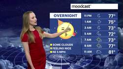 Mostly cloudy, with chances for stray showers on Saturday for The Bronx News Clip