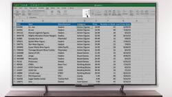 SkillSprints: Sorting and Filtering in Excel Instructional Video