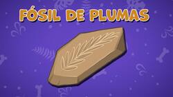 I WONDER - How Did The Archaeopteryx Get Its Name? Me Pregunto - Cómo Obtuvo Su Nombre El Archaeopteryx? Instructional Video